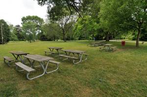 Hoyt Park Picnic Area 2