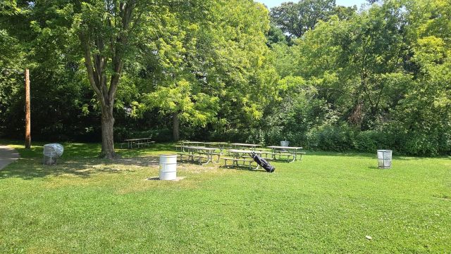 49th Reunion Pictures