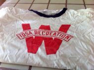 Tosa Memories